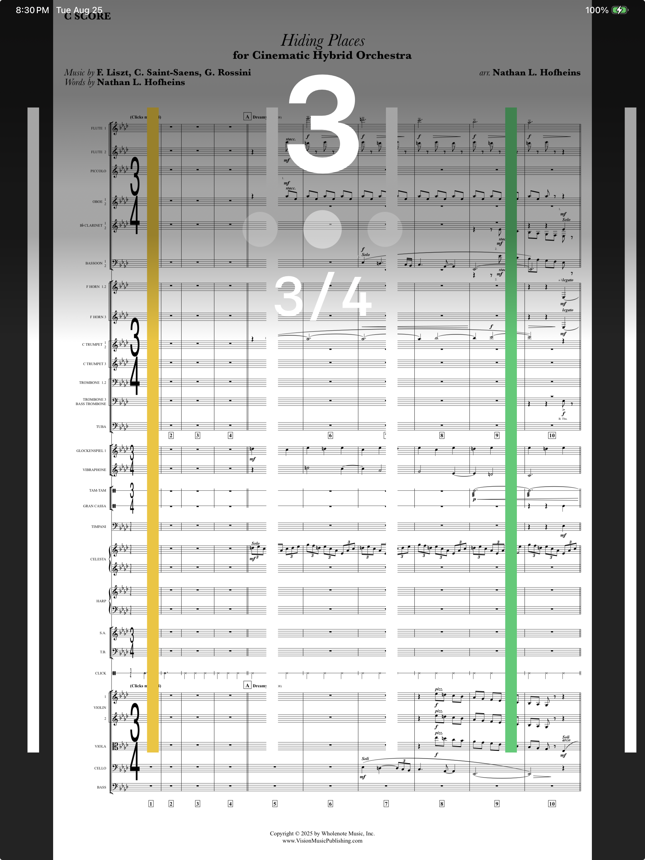 Score view